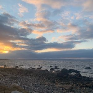 Meet your Posher, Gracie